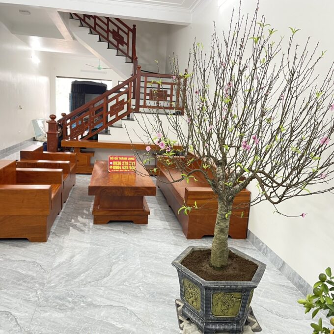 bộ sofa gỗ nguyên khối đẹp