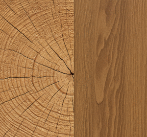 Cách Phân Biệt Gỗ Thật Và Gỗ Giả