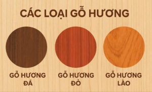 Phân Biệt Các Loại Gỗ Hương Có Giá Trị Như Nào